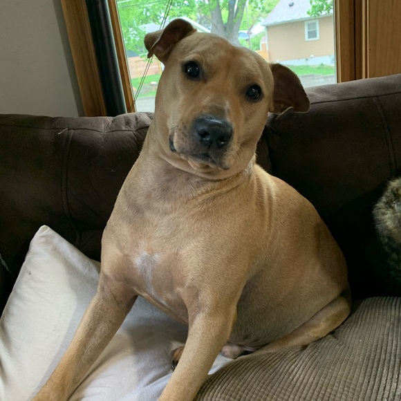 Meet your Posher, Julie - Picture 3 of 4